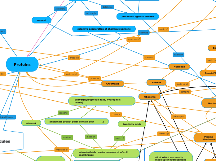 Biological Molecules Mind Map